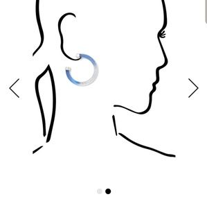 NWT- Oceana Lucite Hoops

Earrings